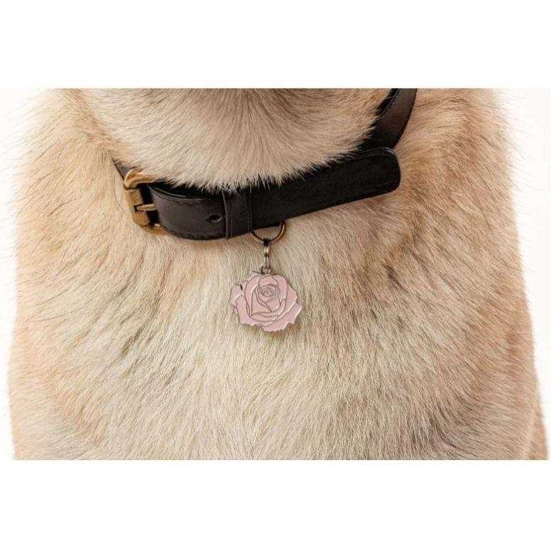 Pet Supplies Z67835