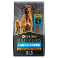 Dry Dog Food B35603