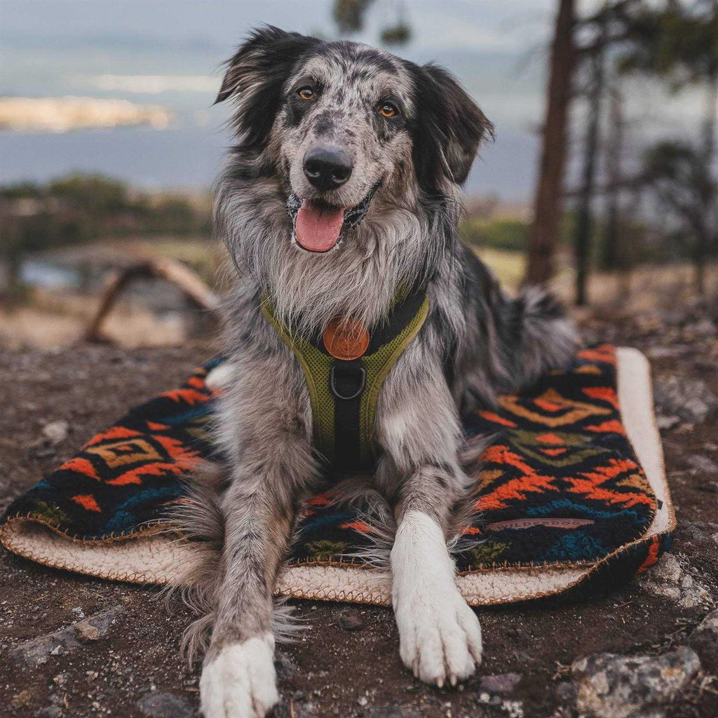 Sherpa Fleece Waterproof Blanket F779567