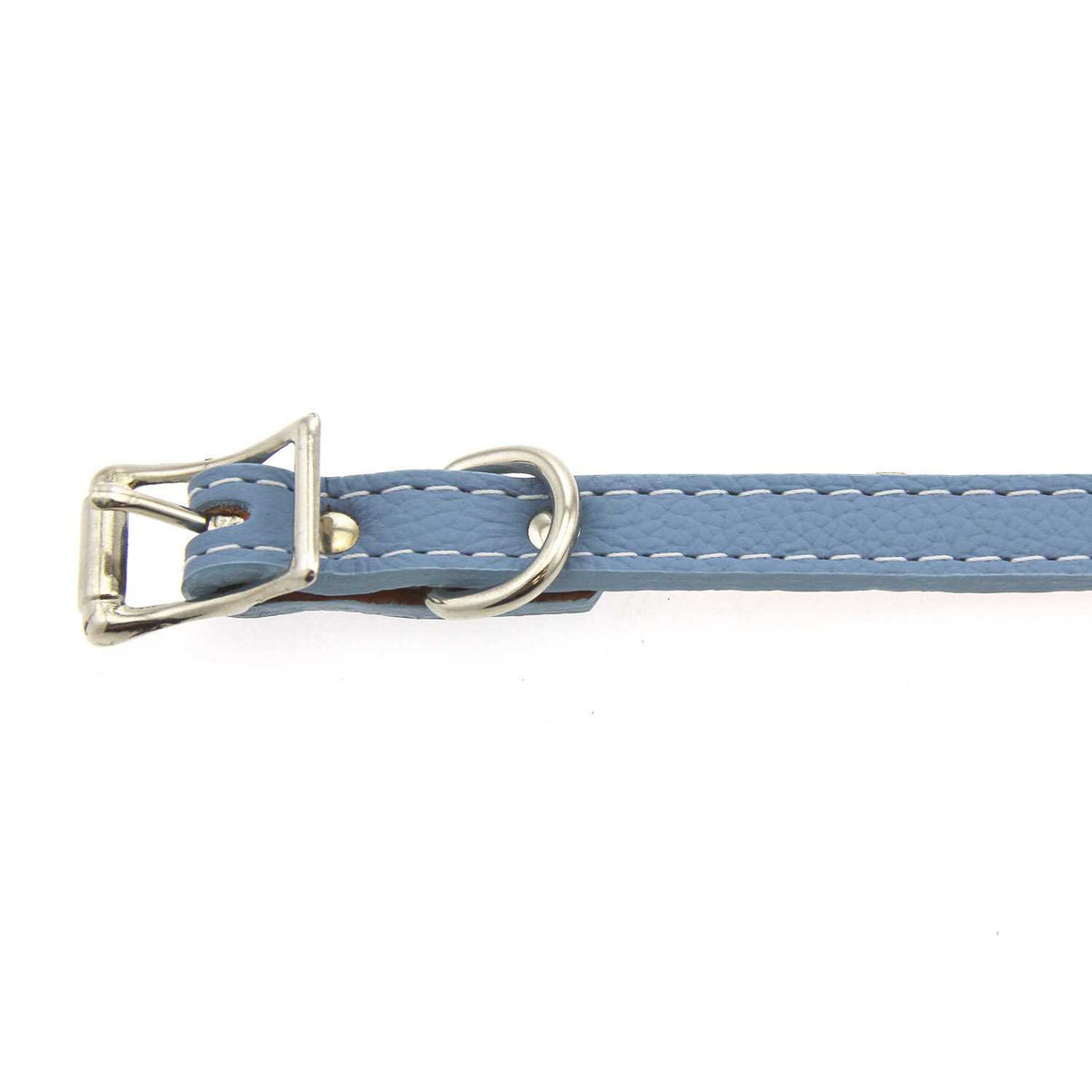 Leather Dog Collar Z512470