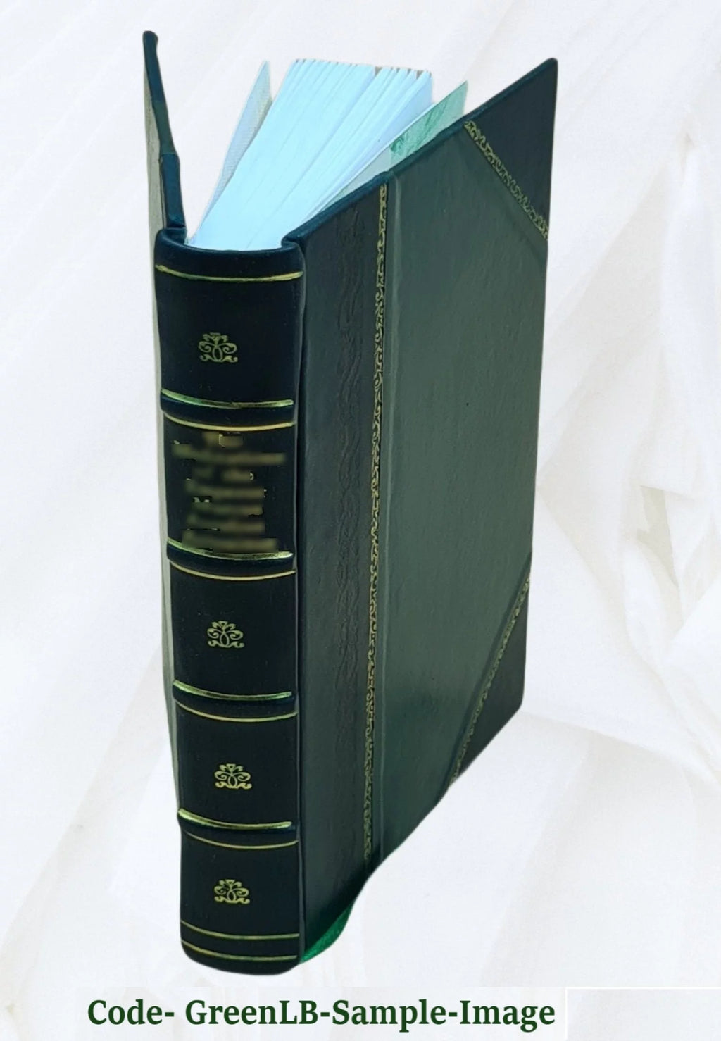 Vita Christi Cartuxano Leather Bound Q254