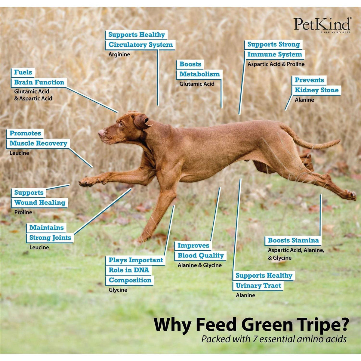 Beef Tripe Formula Dry Dog Food E723388